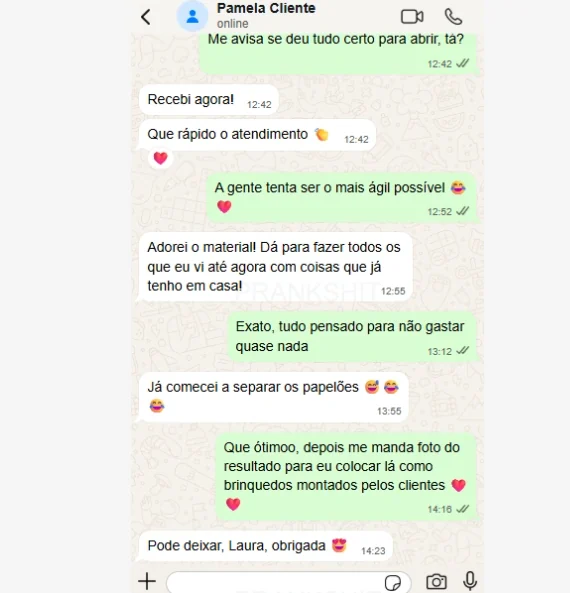 Conversa no WhatsApp: Pamela comenta que dá para fazer os projetos com o que já tem em casa